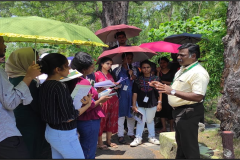 Four-days-workshop-on-Green-2